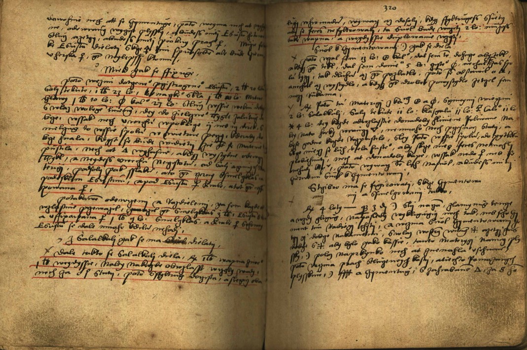 Náhledový obrázek Alchymie česká z XVI. století - 221