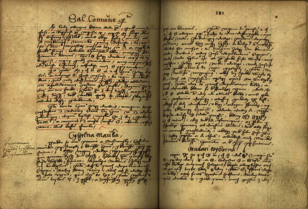Náhledový obrázek Alchymie česká z XVI. století - 170