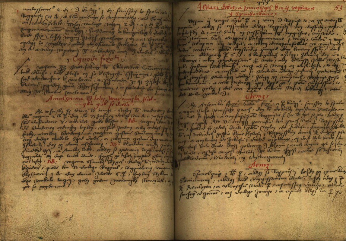 Náhledový obrázek Alchymie česká z XVI. století - 291