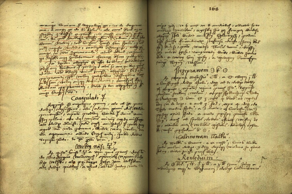 Náhledový obrázek Alchymie česká z XVI. století - 158
