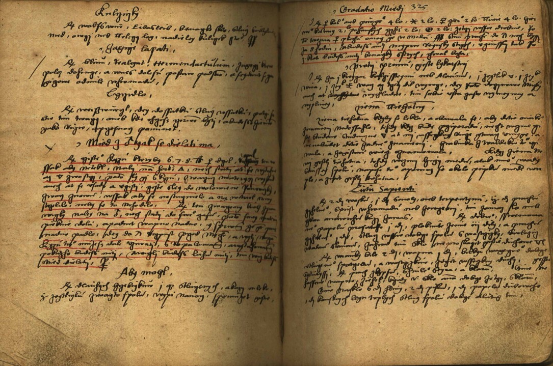 Náhledový obrázek Alchymie česká z XVI. století - 226