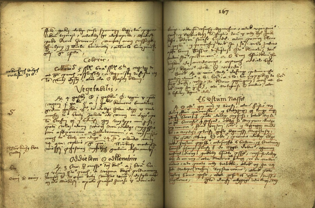 Náhledový obrázek Alchymie česká z XVI. století - 384