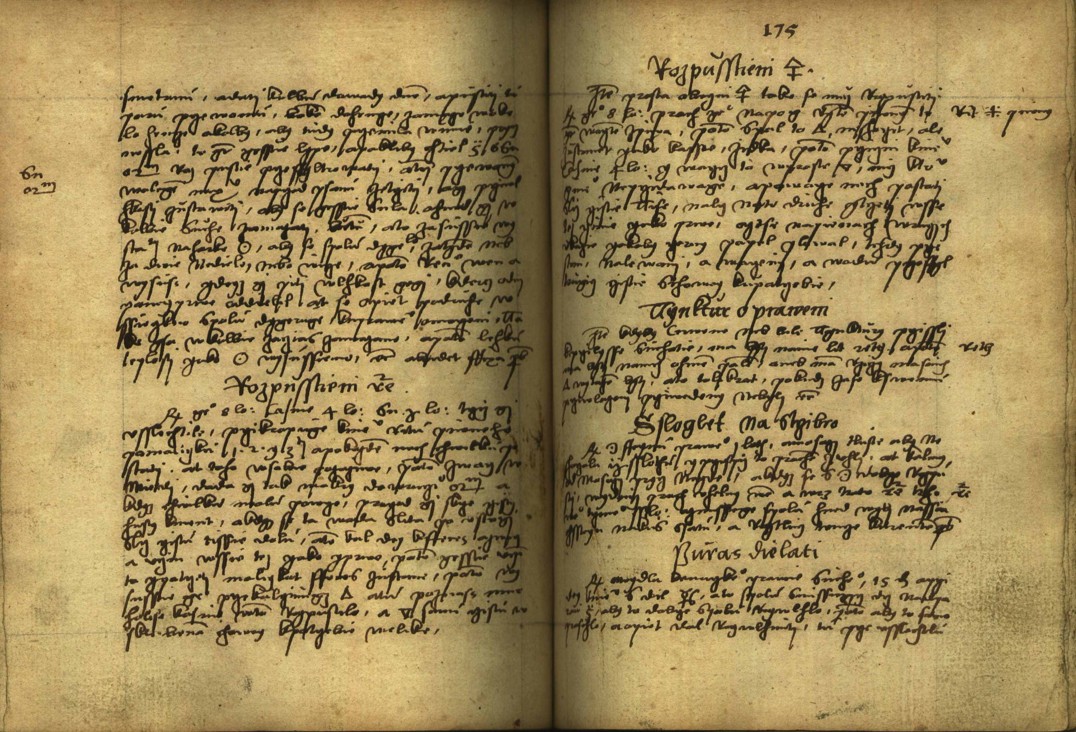 Náhledový obrázek Alchymie česká z XVI. století - 164