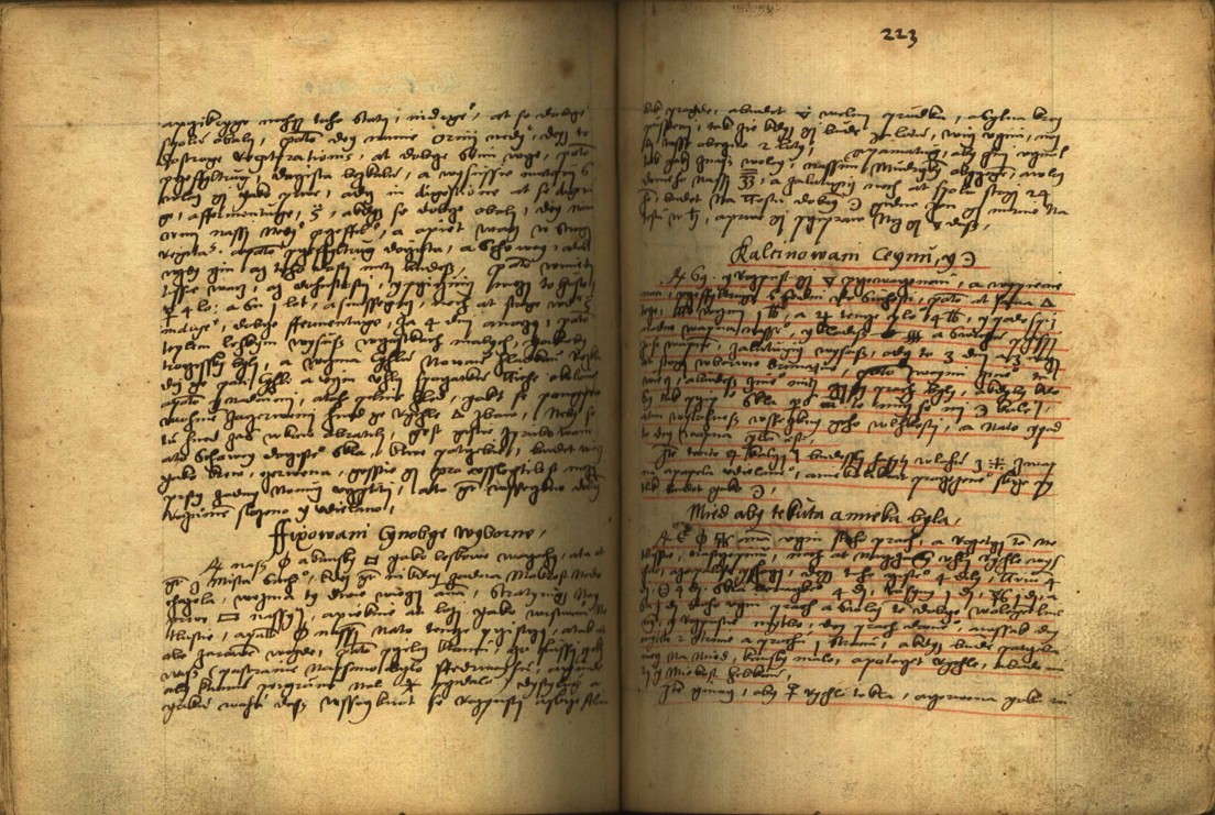 Náhledový obrázek Alchymie česká z XVI. století - 442