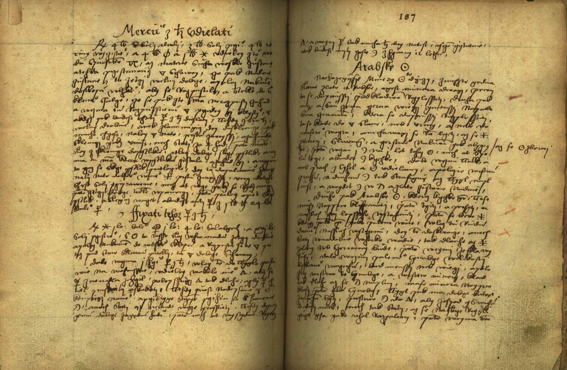 Náhledový obrázek Alchymie česká z XVI. století - 176