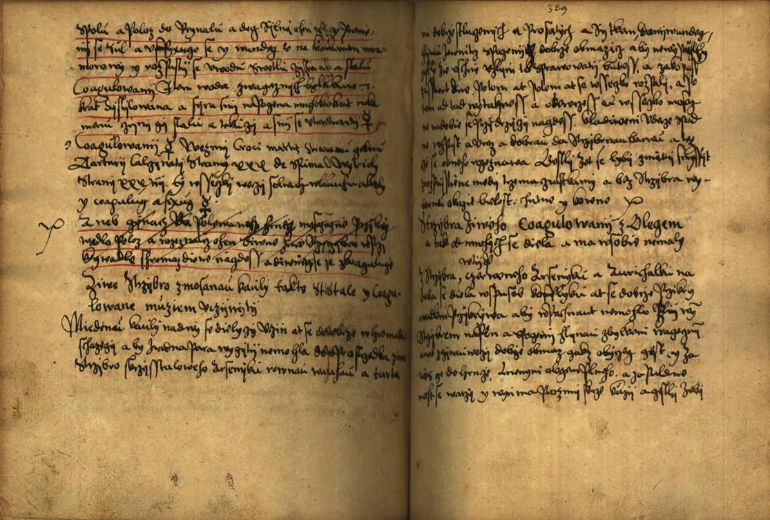 Náhledový obrázek Alchymie česká z XVI. století - 467