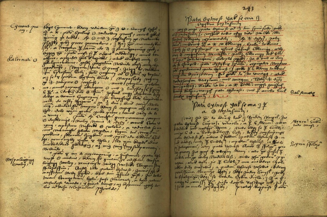 Náhledový obrázek Alchymie česká z XVI. století - 591