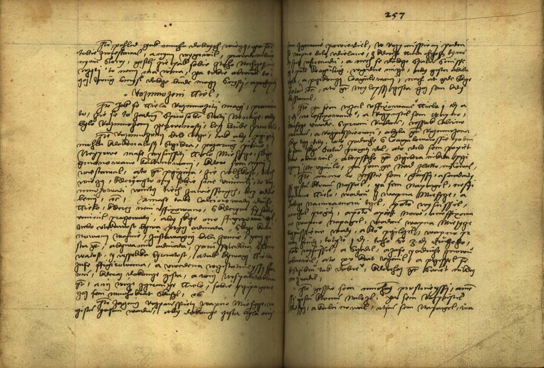 Náhledový obrázek Alchymie česká z XVI. století - 605