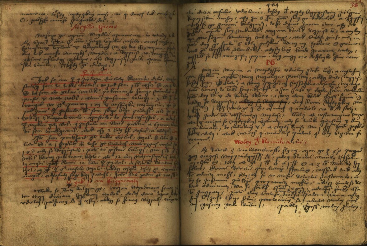 Náhledový obrázek Alchymie česká z XVI. století - 351