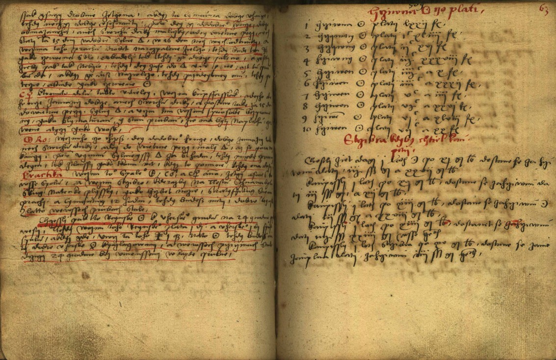 Náhledový obrázek Alchymie česká z XVI. století - 301
