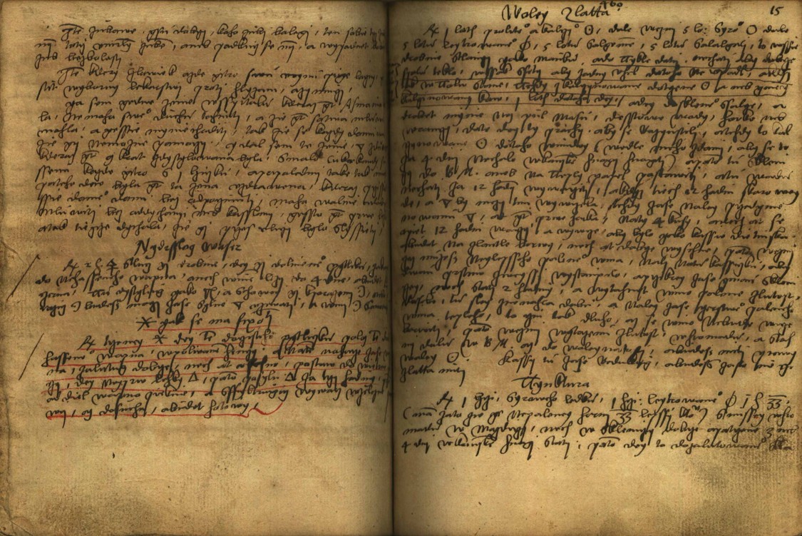 Náhledový obrázek Alchymie česká z XVI. století - 231