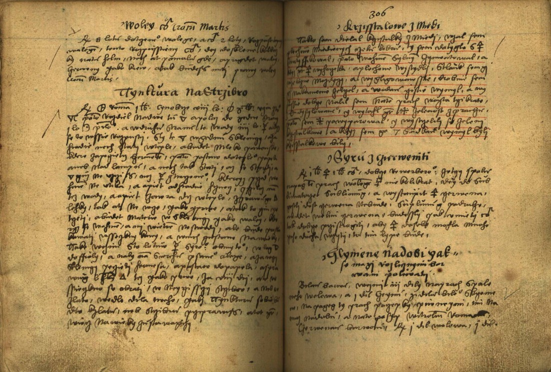 Náhledový obrázek Alchymie česká z XVI. století - 206