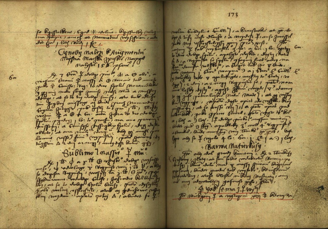 Náhledový obrázek Alchymie česká z XVI. století - 315