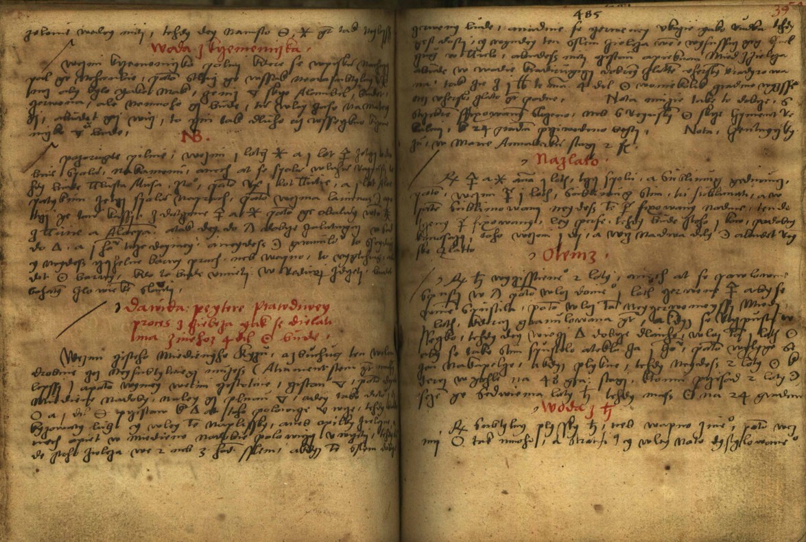 Náhledový obrázek Alchymie česká z XVI. století - 352