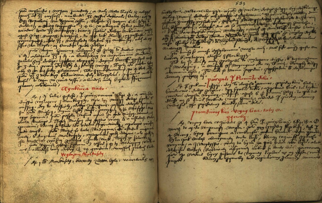 Náhledový obrázek Alchymie česká z XVI. století - 574