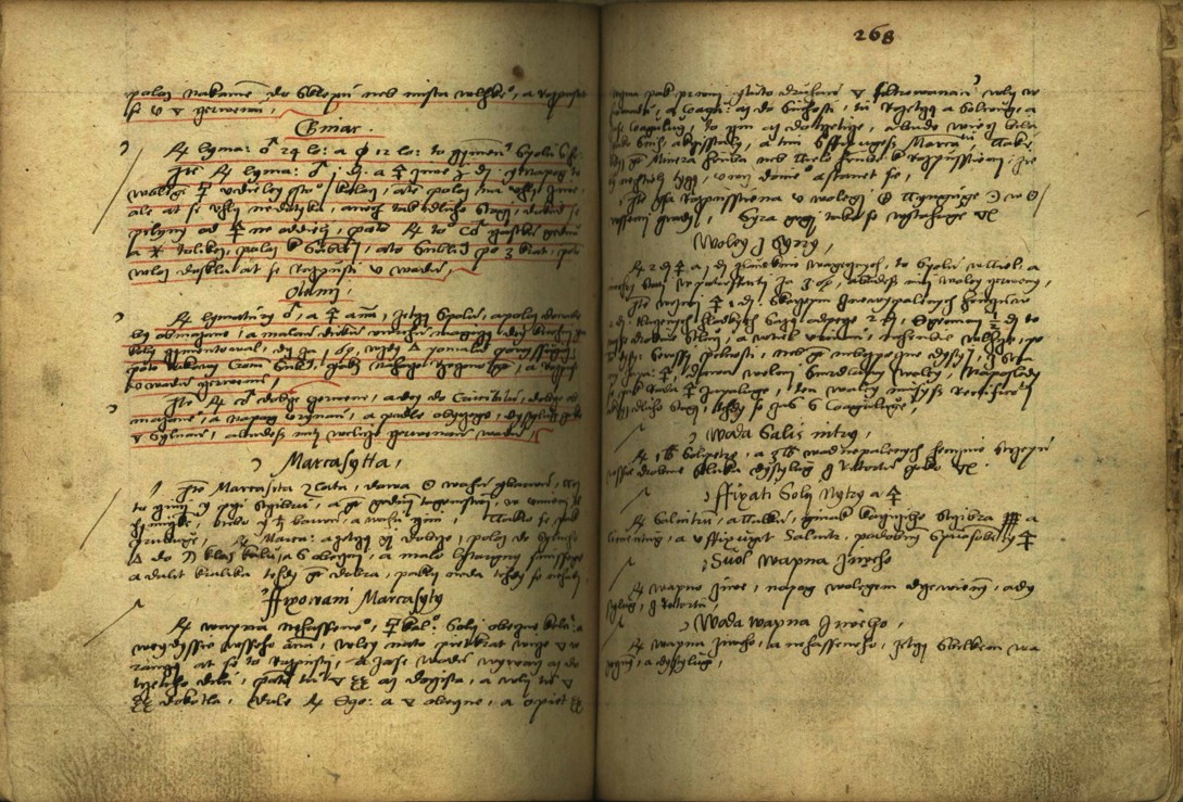 Náhledový obrázek Alchymie česká z XVI. století - 616
