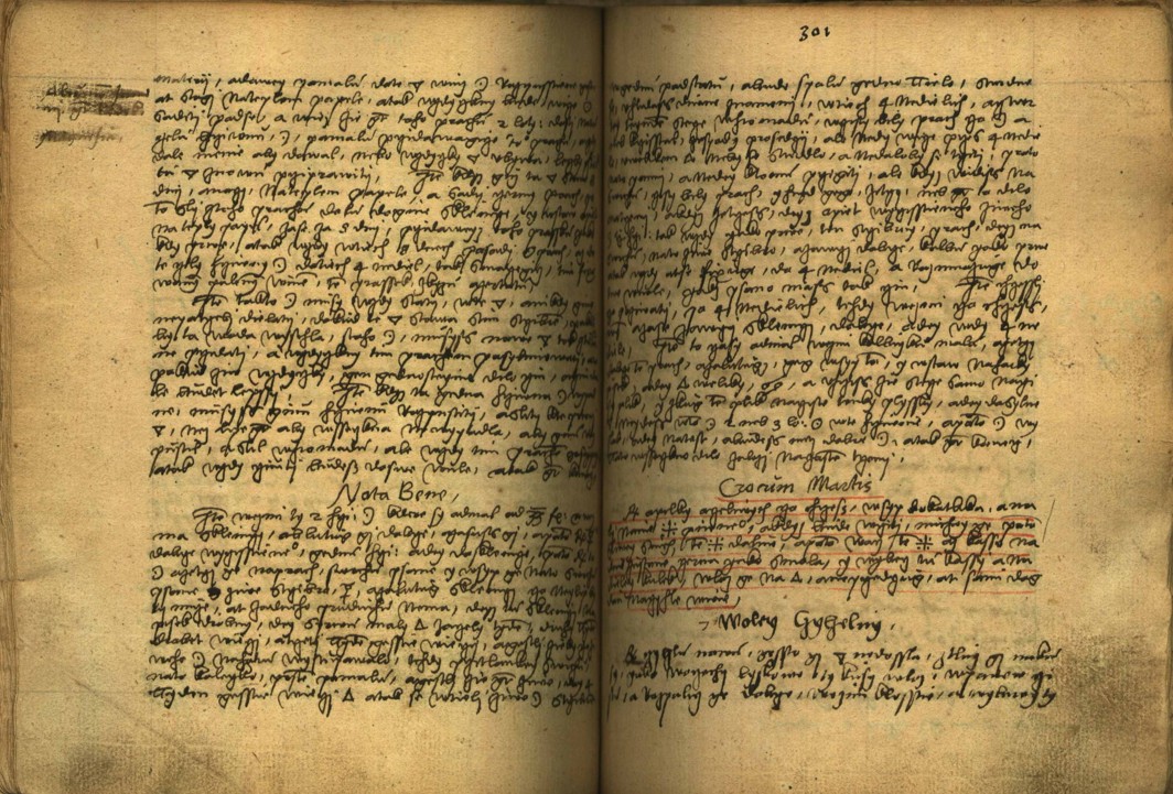 Náhledový obrázek Alchymie česká z XVI. století - 156