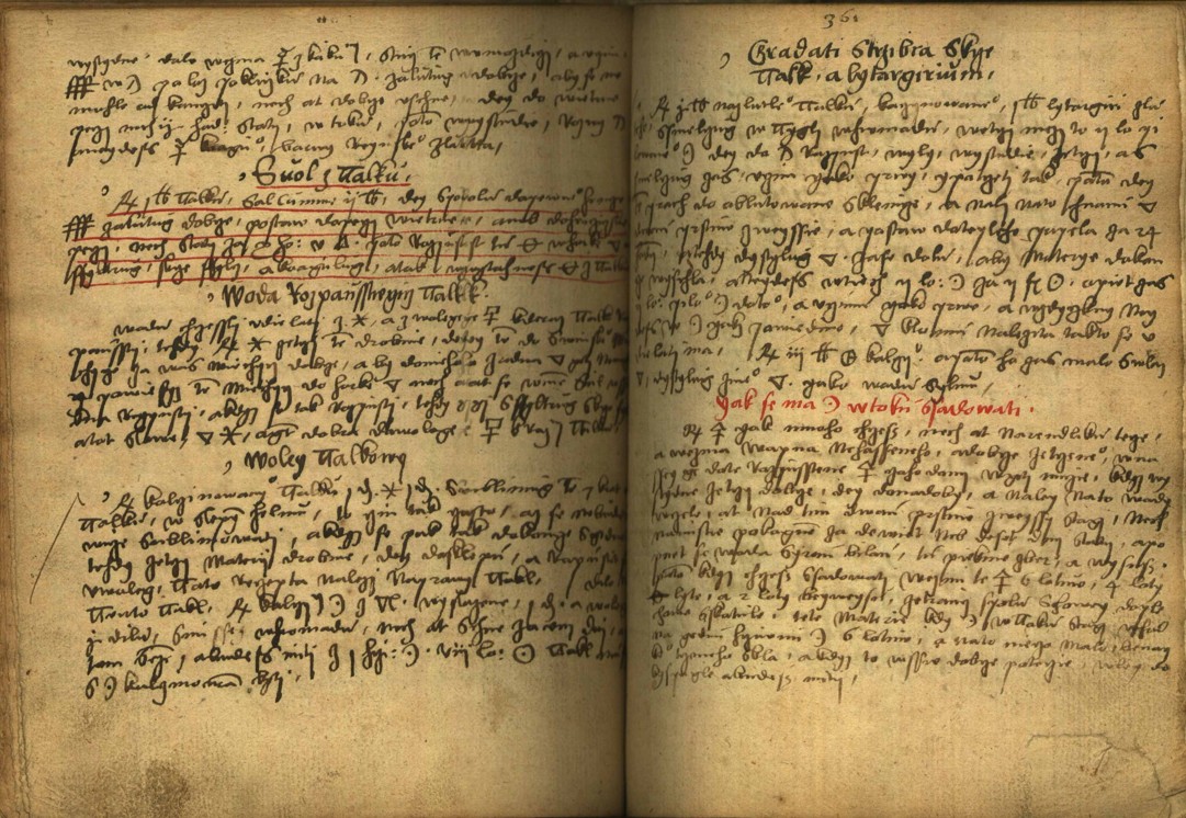 Náhledový obrázek Alchymie česká z XVI. století - 270