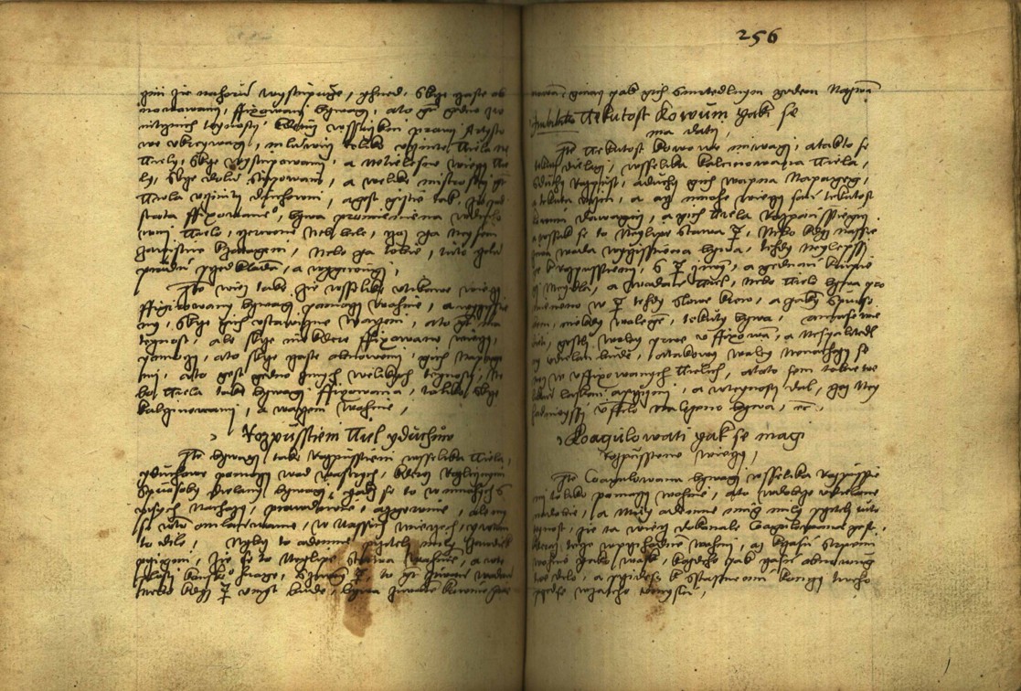Náhledový obrázek Alchymie česká z XVI. století - 604