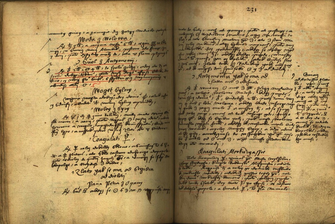 Náhledový obrázek Alchymie česká z XVI. století - 450