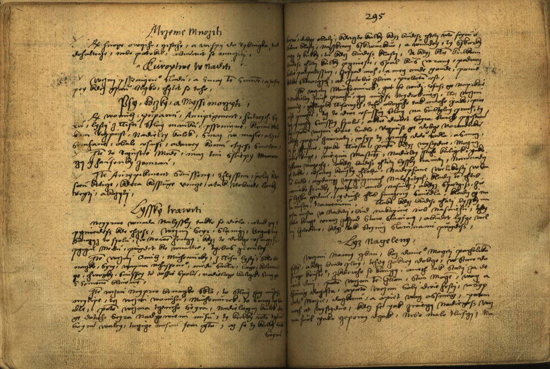 Náhledový obrázek Alchymie česká z XVI. století - 149