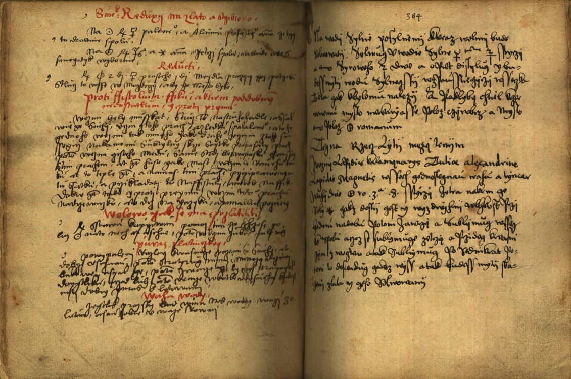 Náhledový obrázek Alchymie česká z XVI. století - 462