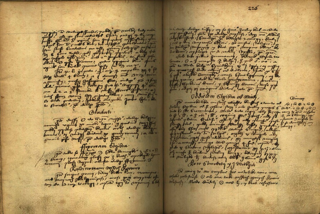 Náhledový obrázek Alchymie česká z XVI. století - 445