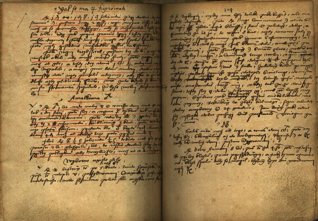 Náhledový obrázek Alchymie česká z XVI. století - 215