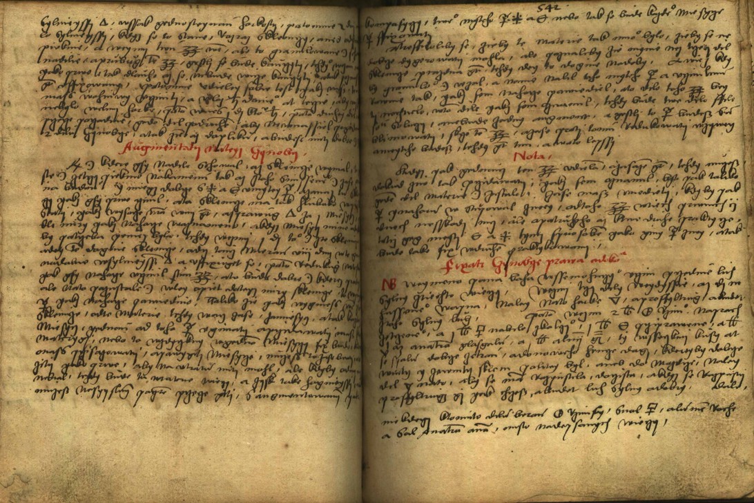 Náhledový obrázek Alchymie česká z XVI. století - 531