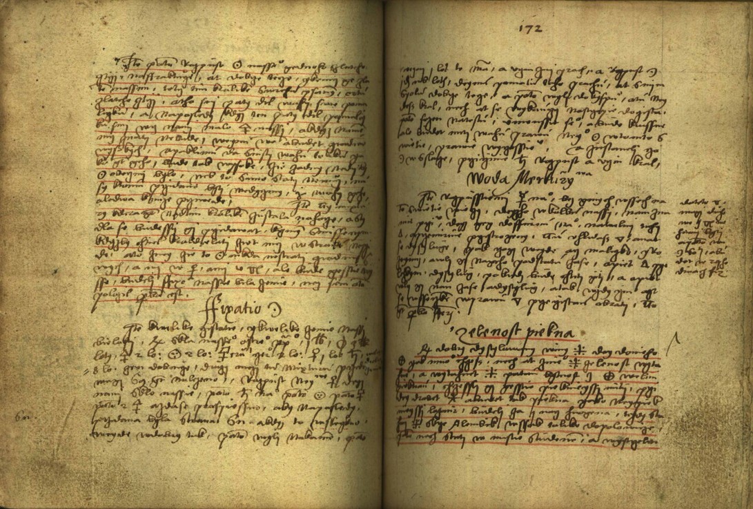 Náhledový obrázek Alchymie česká z XVI. století - 162