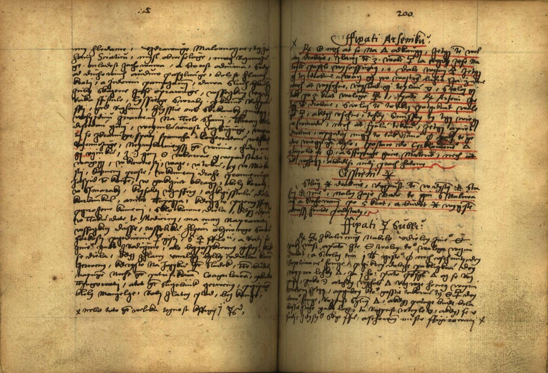 Náhledový obrázek Alchymie česká z XVI. století - 189