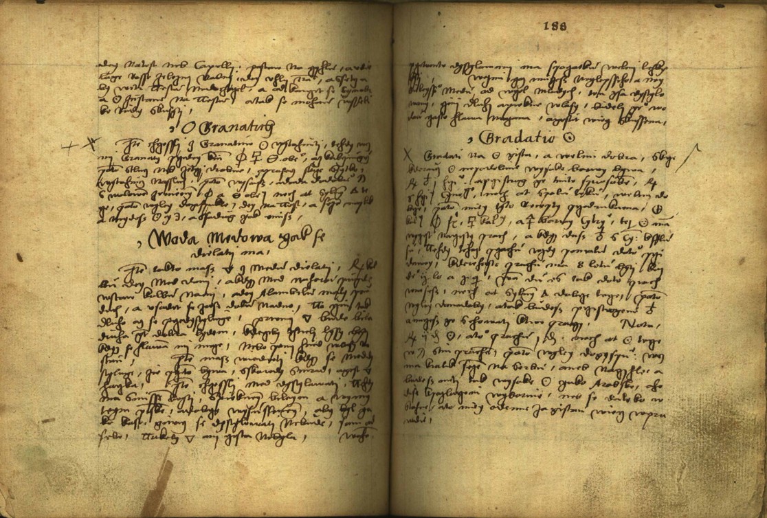 Náhledový obrázek Alchymie česká z XVI. století - 177