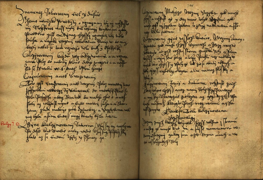 Náhledový obrázek Alchymie česká z XVI. století - 463