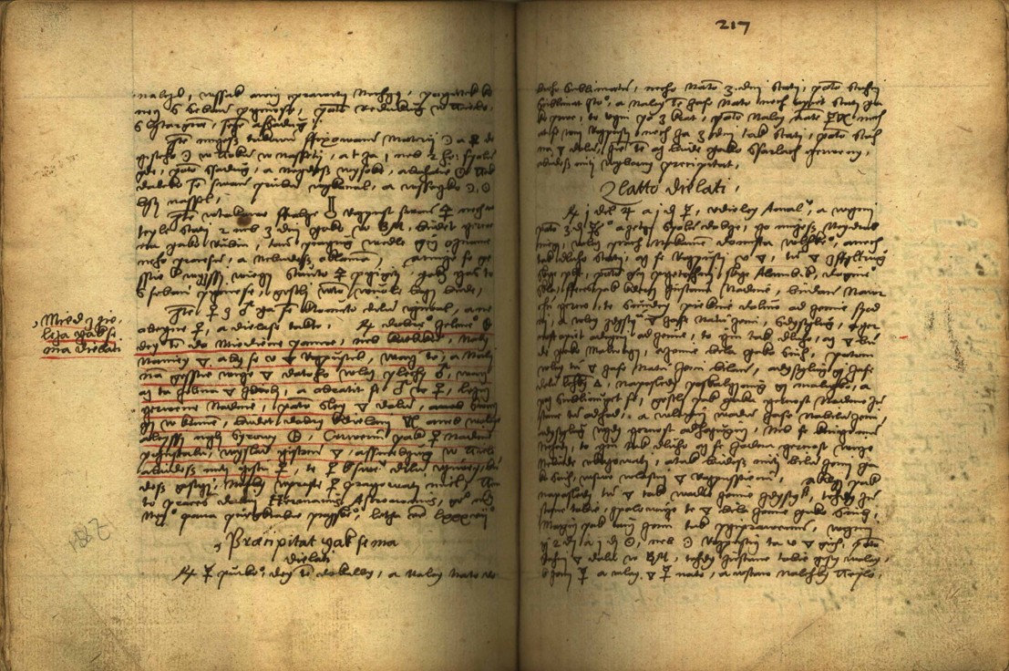 Náhledový obrázek Alchymie česká z XVI. století - 416