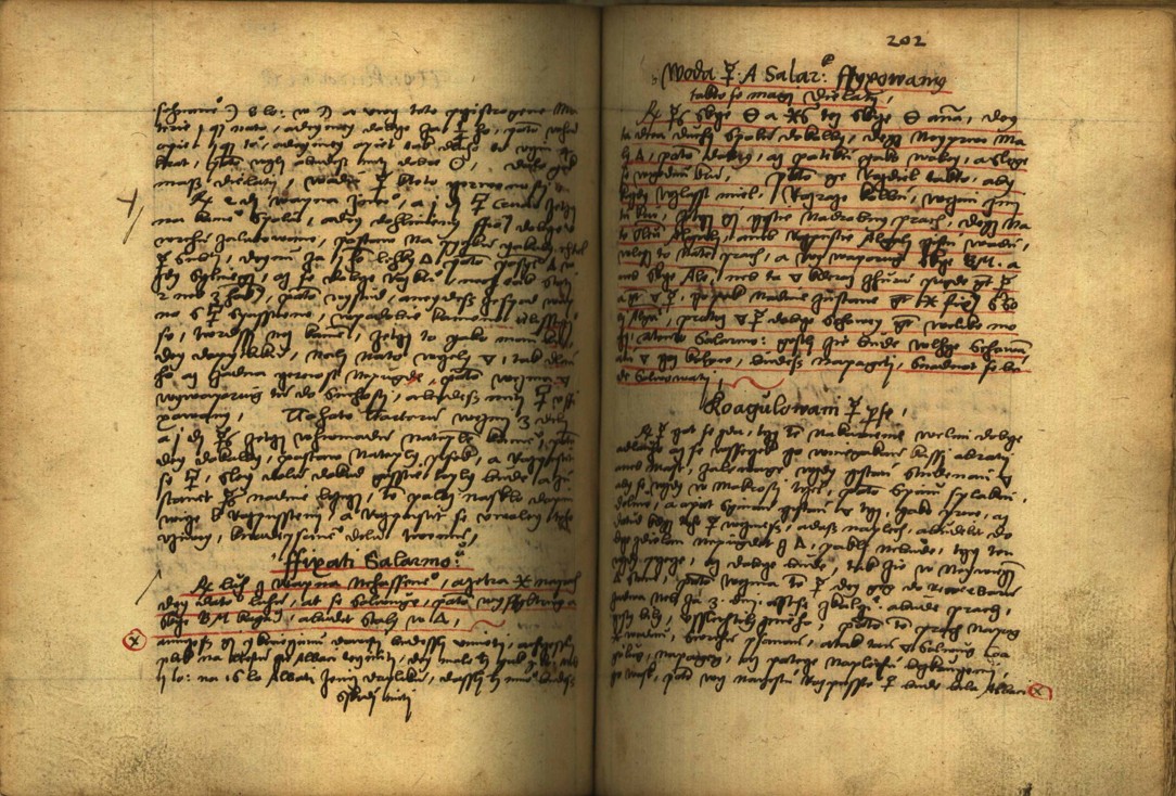 Náhledový obrázek Alchymie česká z XVI. století - 192