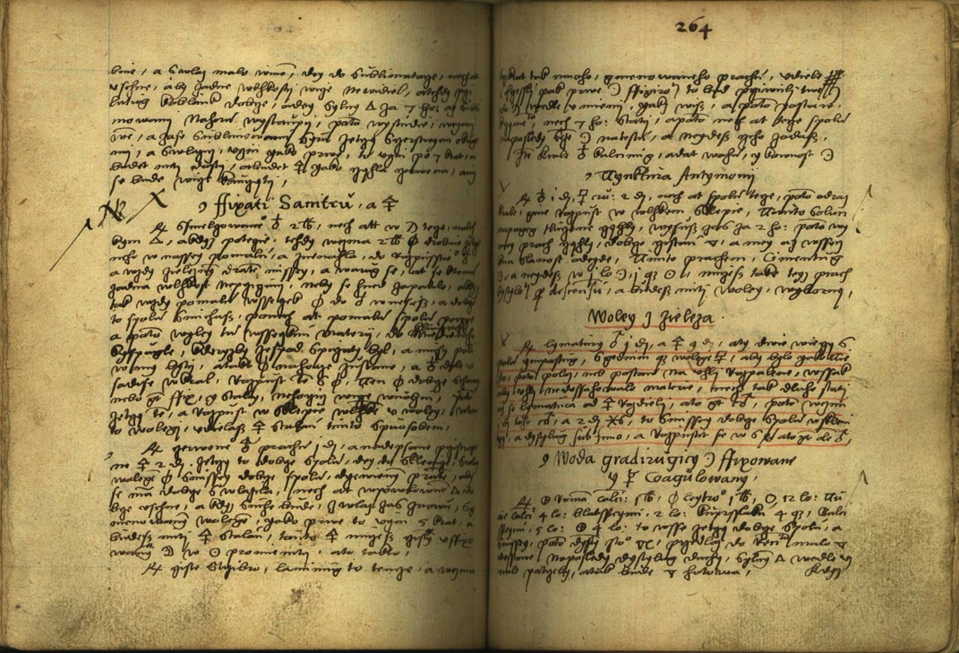 Náhledový obrázek Alchymie česká z XVI. století - 612