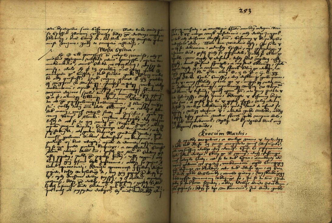 Náhledový obrázek Alchymie česká z XVI. století - 601