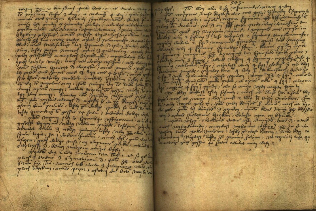Náhledový obrázek Alchymie česká z XVI. století - 532