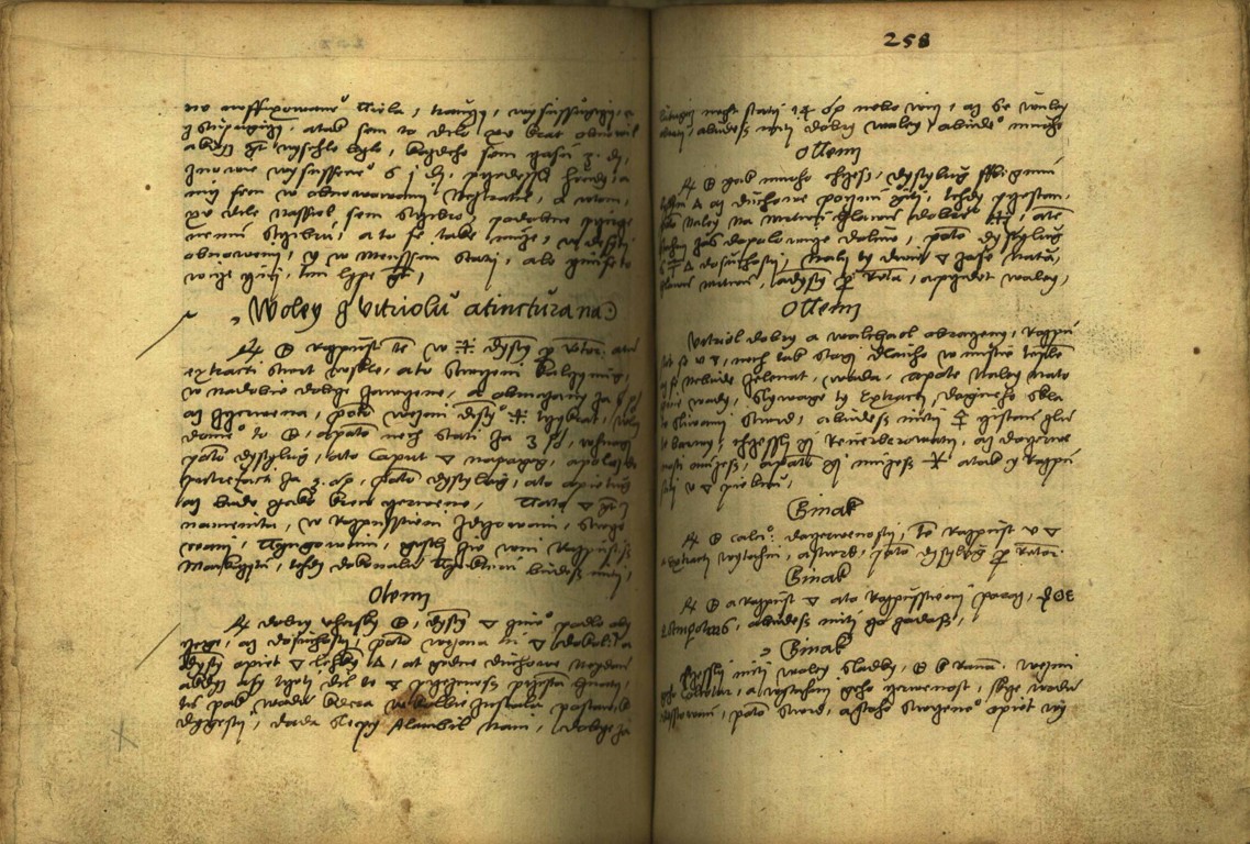 Náhledový obrázek Alchymie česká z XVI. století - 606