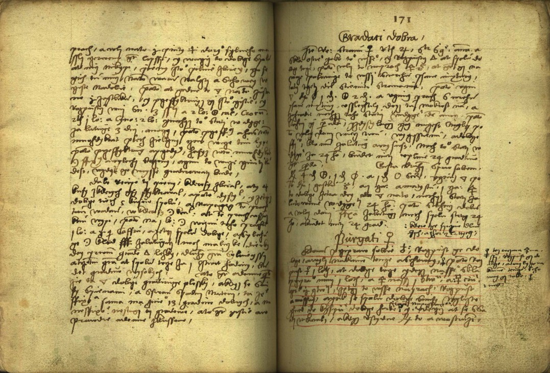 Náhledový obrázek Alchymie česká z XVI. století - 161