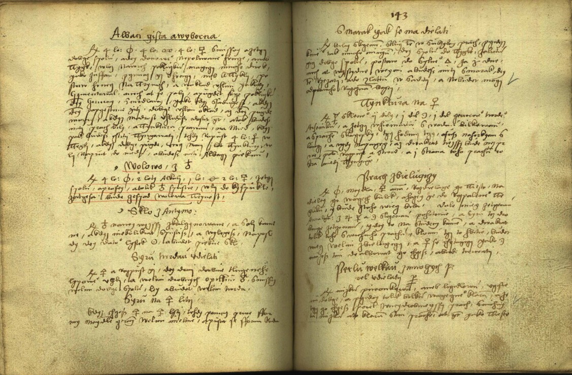 Náhledový obrázek Alchymie česká z XVI. století - 117