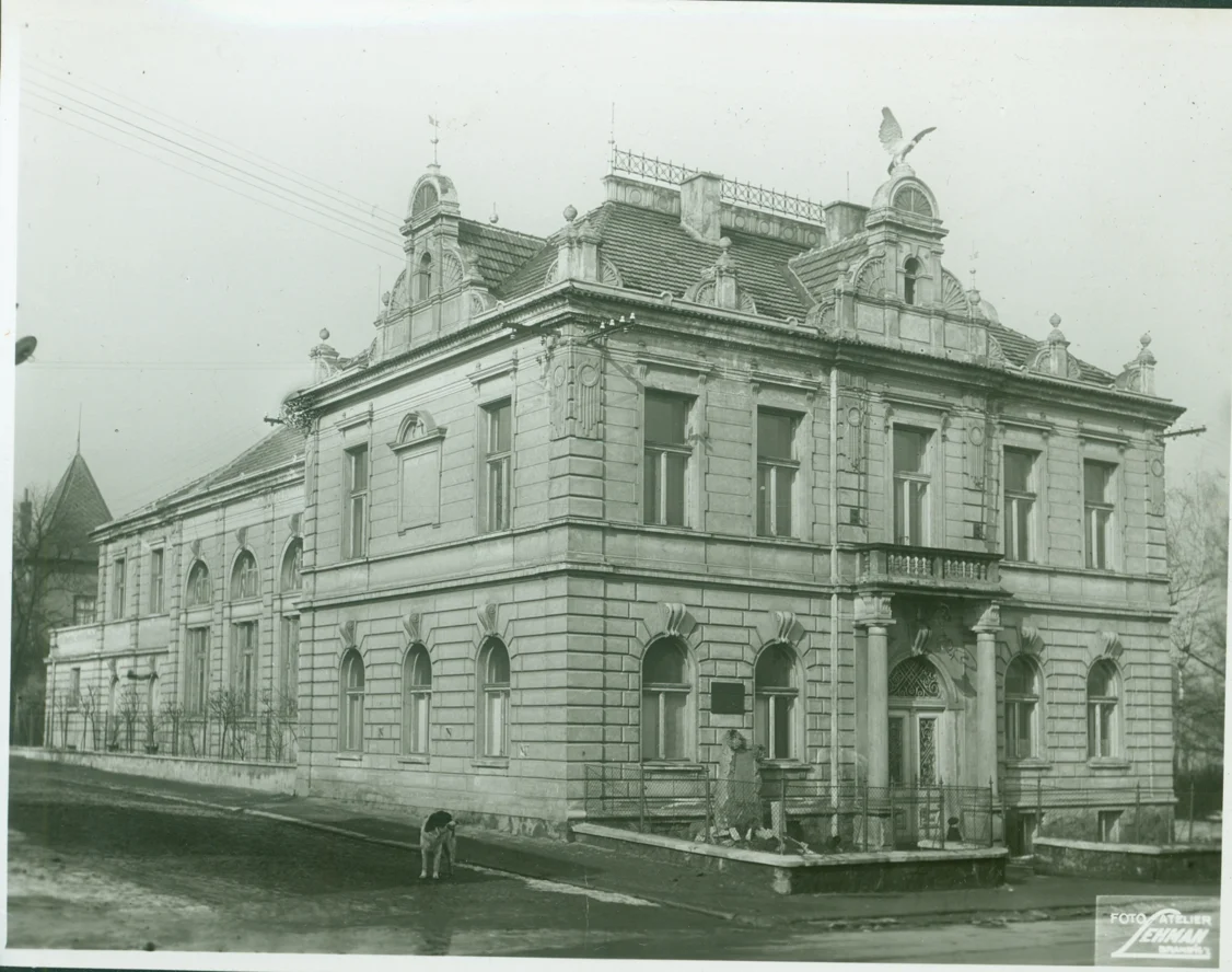 Náhledový obrázek předmětu Brandýs nad Labem