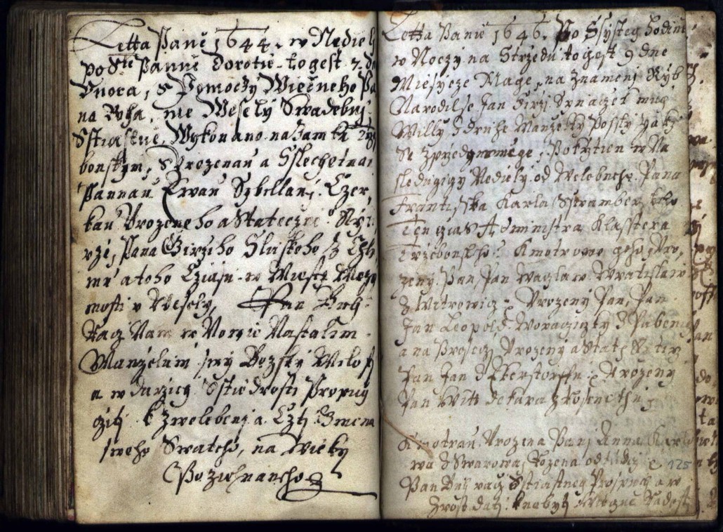 Náhledový obrázek Zahrádka růžová bl. panny Marie - 117
