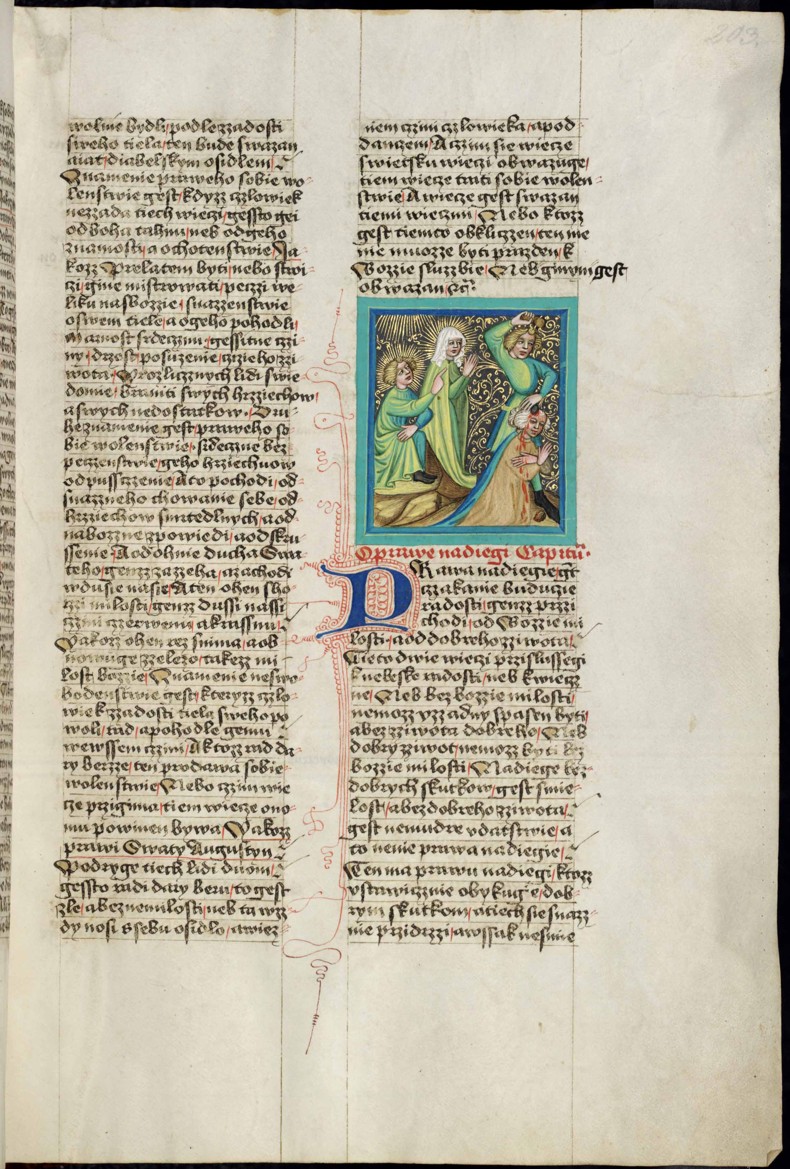 Náhledový obrázek Krumlovský sborník - 116
