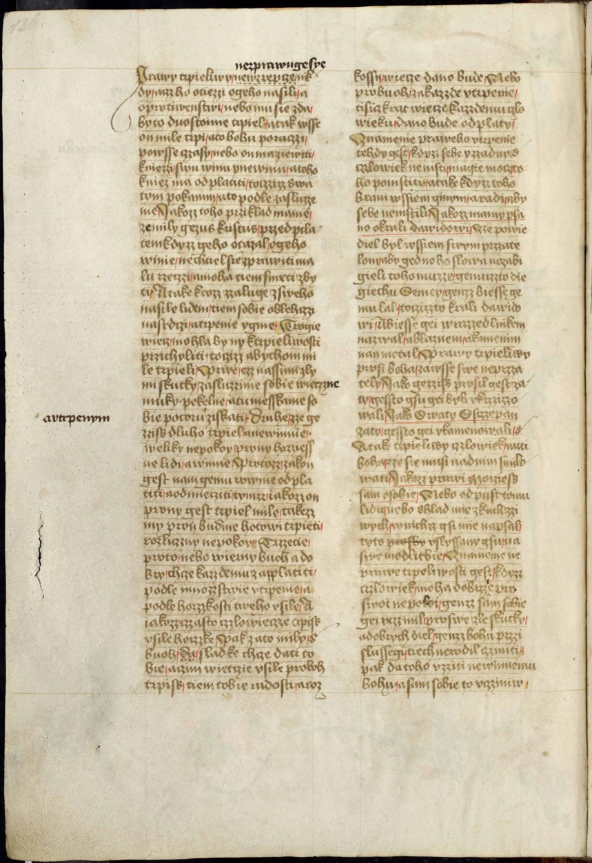 Náhledový obrázek Krumlovský sborník - 242