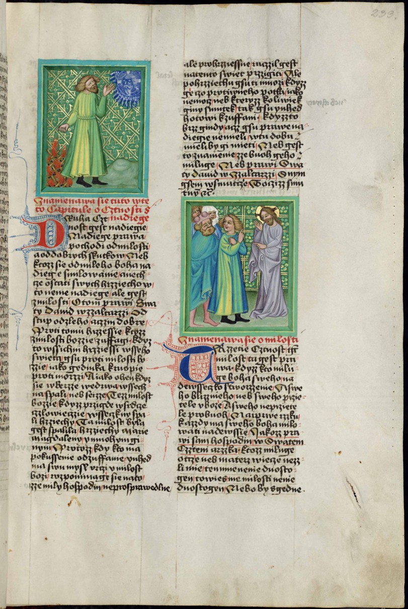 Náhledový obrázek Krumlovský sborník - 139