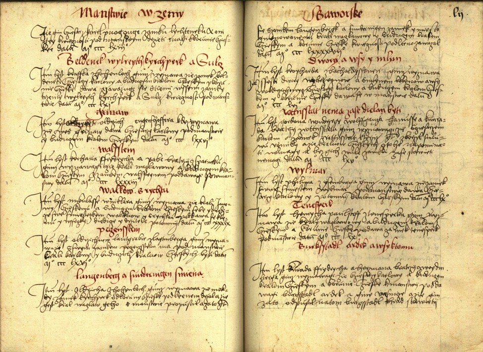Náhledový obrázek Registrum desíti truhlic s privilegii zemskými - 49