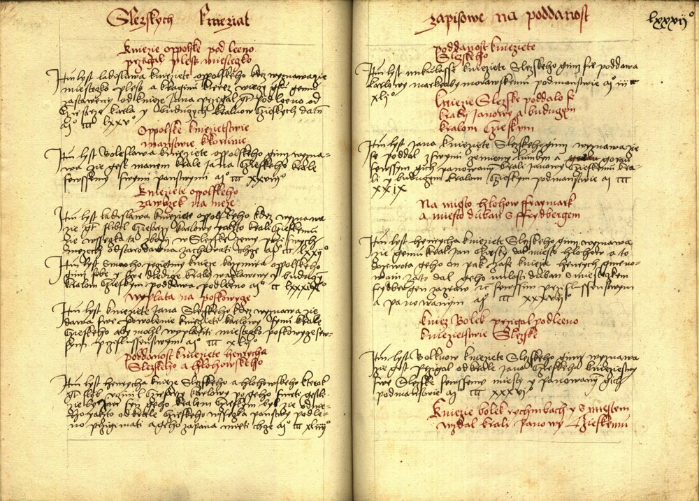 Náhledový obrázek Registrum desíti truhlic s privilegii zemskými - 14