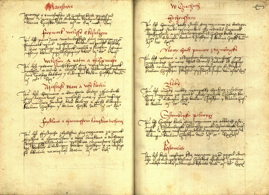 Náhledový obrázek Registrum desíti truhlic s privilegii zemskými - 84