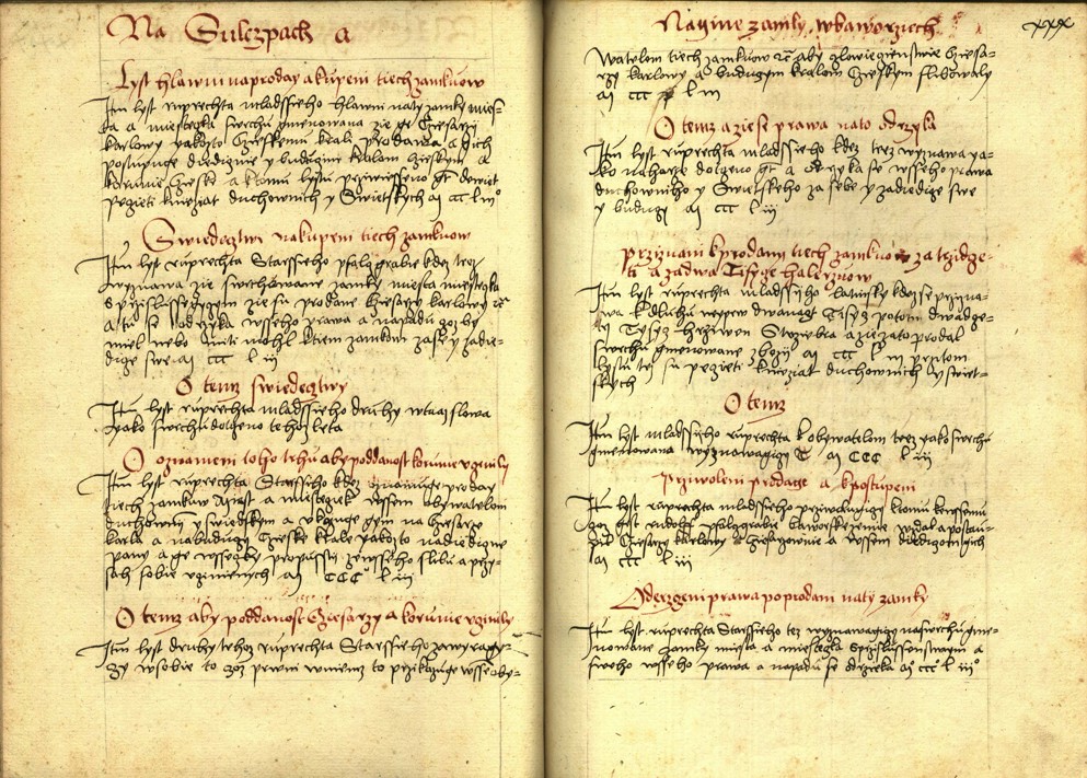 Náhledový obrázek Registrum desíti truhlic s privilegii zemskými - 101